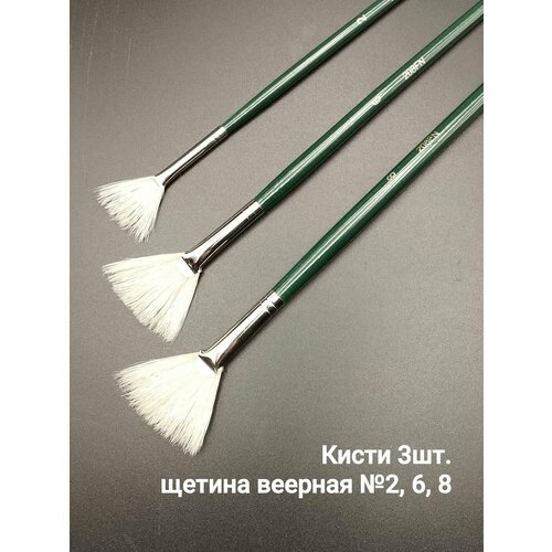 Кисти веерные из отбеленной щетины 2 6 8 348₽