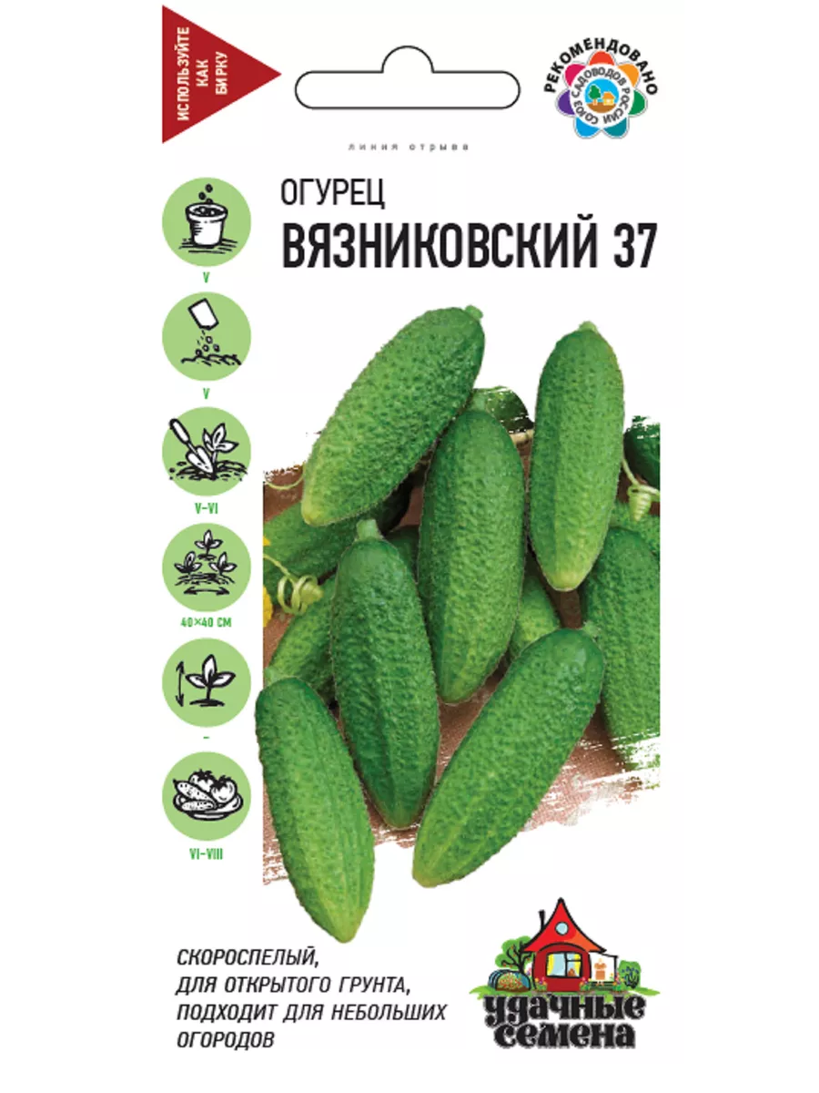 Огурец Вязниковский 37 цв. п 05г