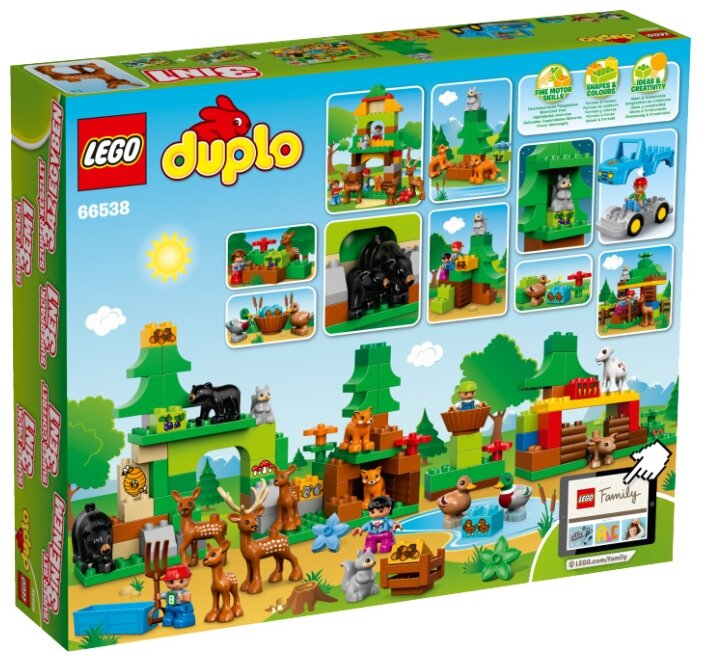 duplo 66538