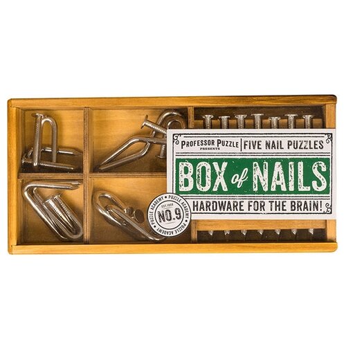 фото Набор головоломок Professor Puzzle Puzzle Academy Box of Nails (PA1445) 5 шт. стальной