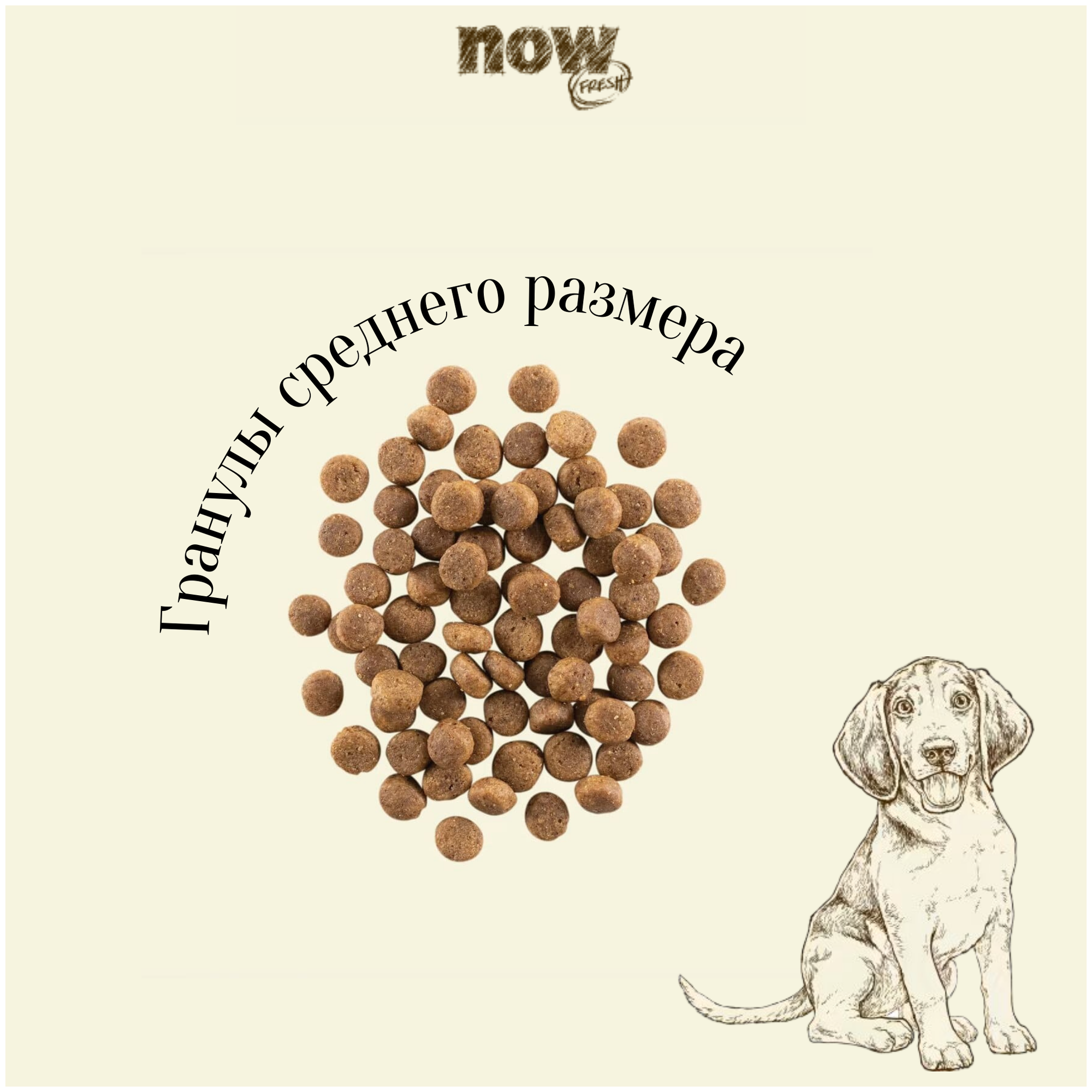 NOW Fresh корм для щенков, беззерновой, с индейкой, уткой и овощами (1,59 кг) - фото №6
