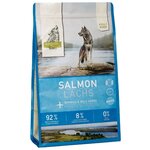 Корм для собак ISEGRIM беззерновой лосось с ягодами для взрослых собак сухой 3 кг - изображение