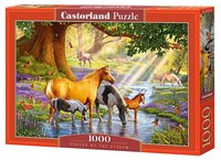 Пазл Castorland Horses by the Stream (C-103737) , элементов: 1000 шт.