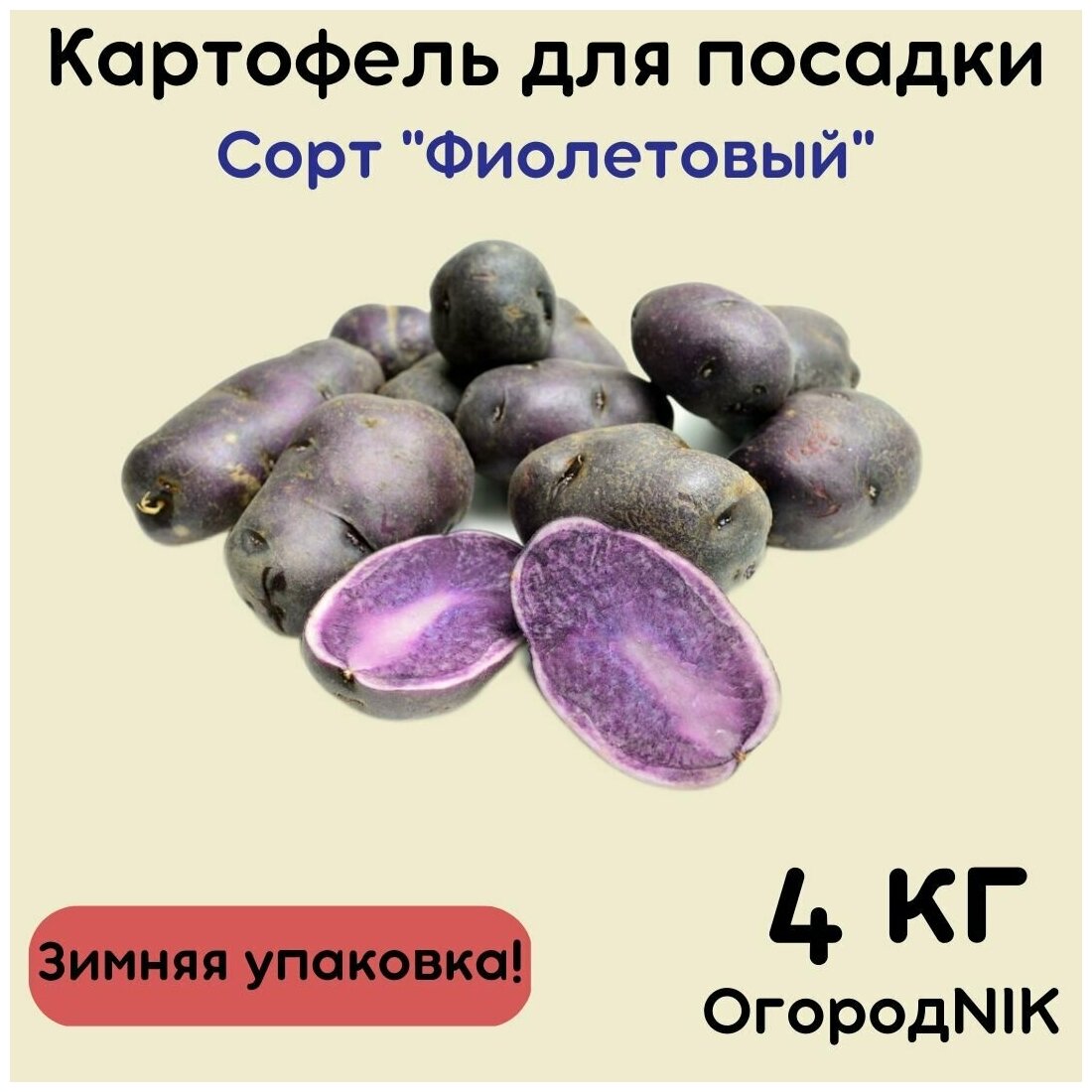 Картофель семенной "Фиолетовый" - фотография № 1