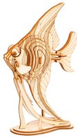 Сборная модель Цветной Рыба ангел (TG273)