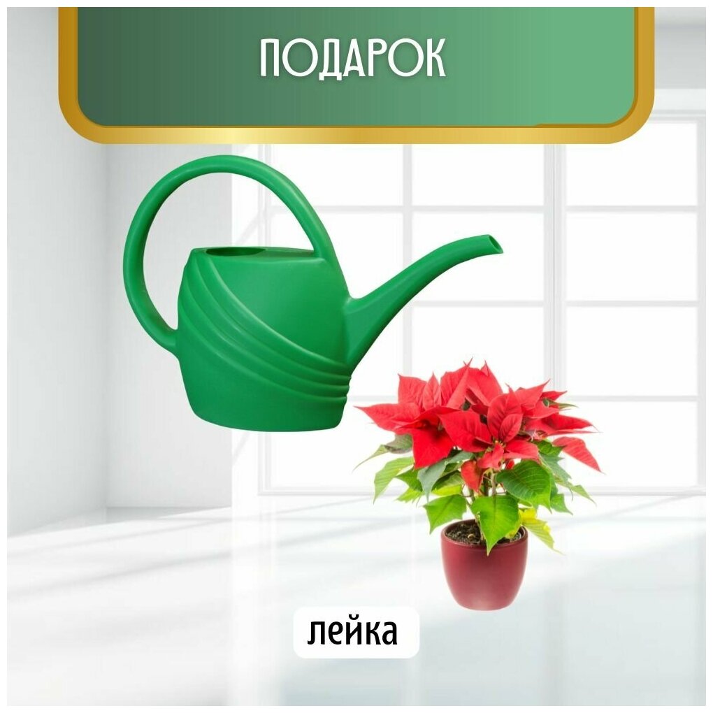 Raksa Home Стеллаж для рассады / Мини-тепличка / парник садовый металлический для выращивания рассады, цветов в и зелени. - фотография № 8