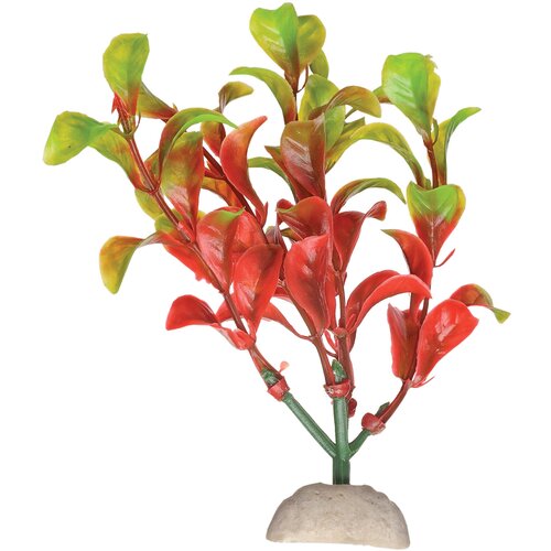 Растение Лисимахия красно-зелёная пластик 34см