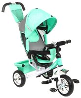 Трехколесный велосипед Capella Action trike II mint