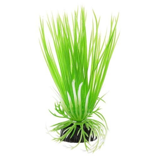 искусственное растение barbus 10 см Растение для аквариума пластиковое Акорус зеленый, BARBUS, Plant 007 (10 см)