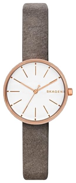 Наручные часы SKAGEN SKW2644, серый