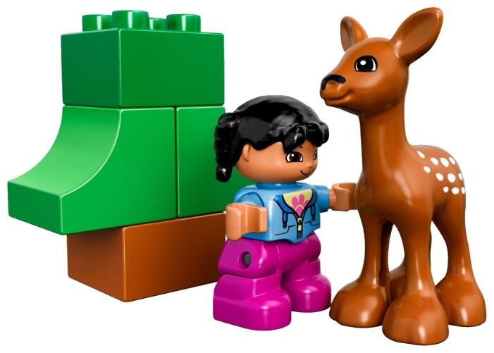 duplo 66538