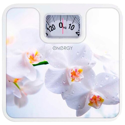 фото Весы механические energy enm-409e