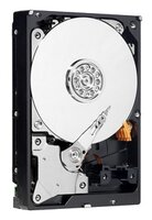 Жесткий диск Western Digital WD AV-GP 750 GB (WD7500AVDS)