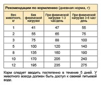 Корм для собак Stout Для взрослых собак мелких пород (0.5 кг)