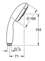 Лейка для душа Grohe New Tempesta 100 28421001 хром