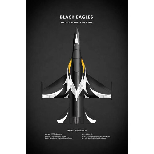 Постер / Плакат / Картина Aircraft. Черный орел 60х40 см