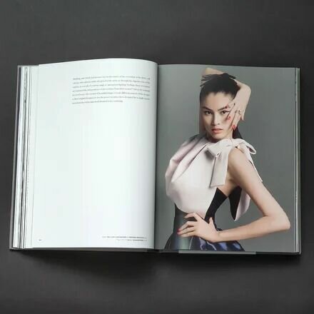 Dior. New Looks (Gautier Jerome) - фото №16