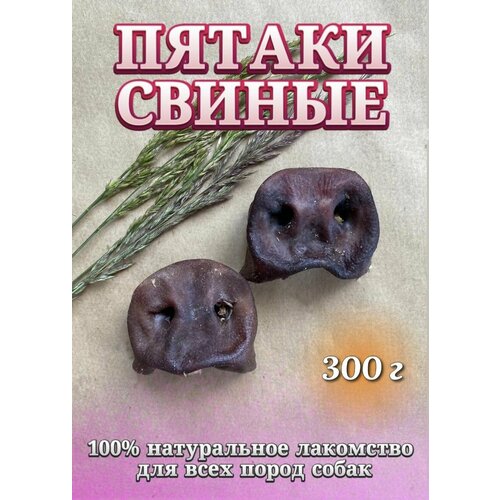 Натуральные лакомства для собак Хищный нос - пятаки свиные 300г лакомство для собак пятаки свиные 100 гр