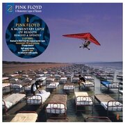 Виниловая пластинка Warner Music PINK FLOYD - A Momentary Lapse Of Reason (Remixed & Updated)(2LP)