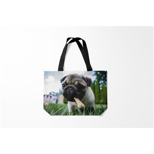фото Сумка-шоппер / 46х35 см / собаки / мопс burnettie