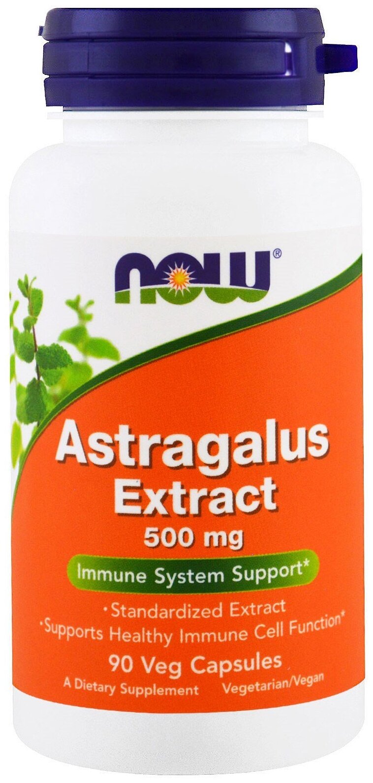 Astragalus Extract 500 мг, 500 мг, 200 мл, 110 г, 90 шт.