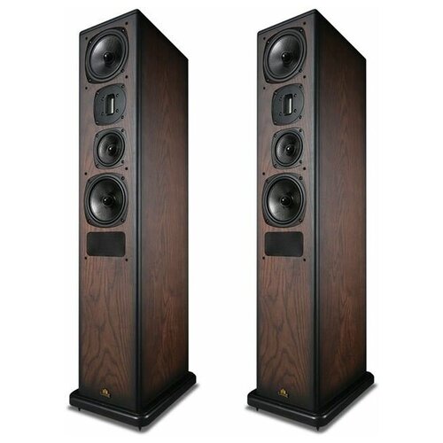 Напольная акустическая система Castle Acoustics Castle Avon 5 Antique Oak 15799000₽