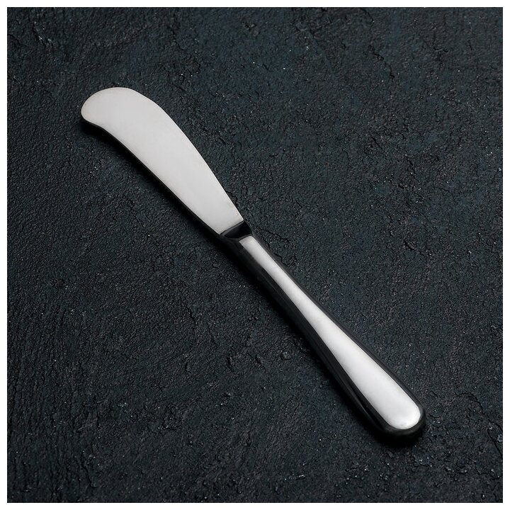 Нож для масла из нержавеющей стали Stella, h=17 см, цвет серебряный - фотография № 3