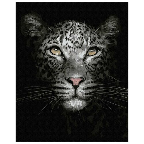 картина по номерам кошка в шляпе 40x50 см Картина по номерам Кошка в темноте, 40x50 см