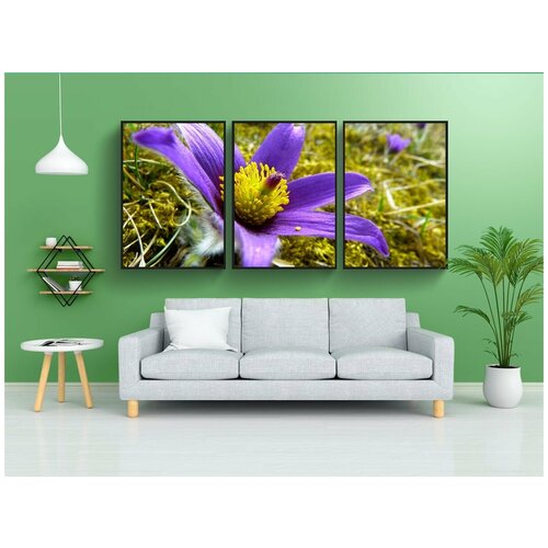 фото Набор модулных постеров для интерьера "прострел, цвести, цветок" 60x90 см. в тубусе, без рамки lotsprints