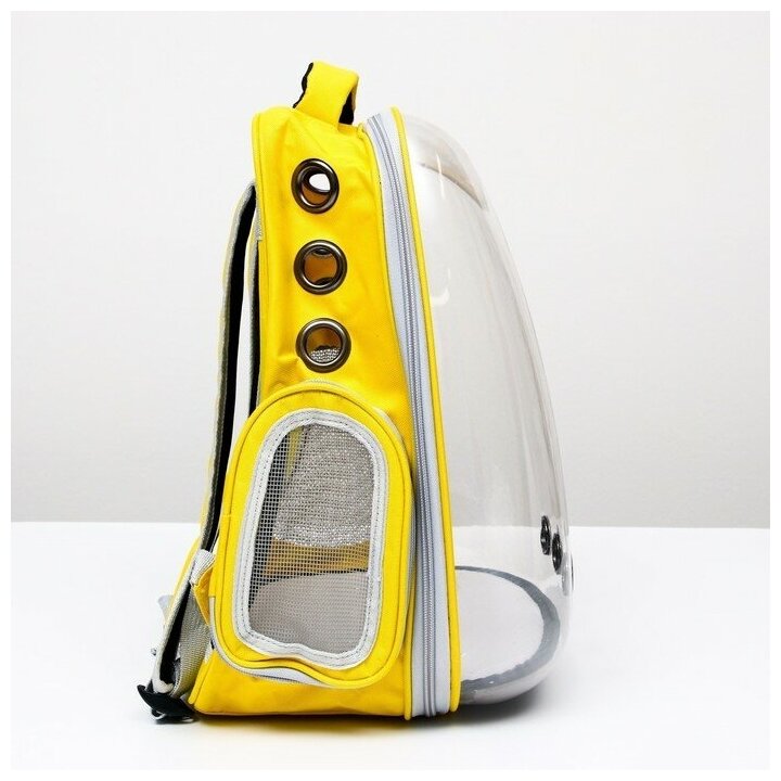 Рюкзак для переноски животных "Котик", прозрачный, 34 х 25 х 40 см, жёлтый 6971554 - фотография № 2