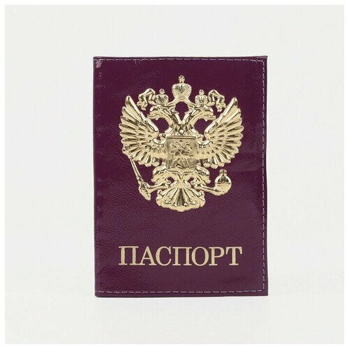 фото Обложка для паспорта noname, натуральная кожа, черный, фиолетовый