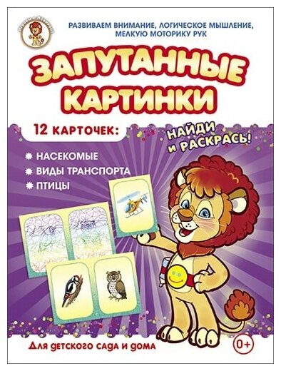 Насекомые-Виды транспорта-Птицы. Запутанные картинки - фото №1