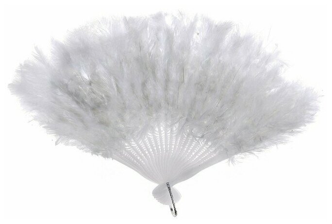 фото Веер пуховой