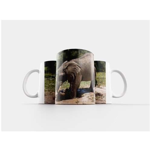фото Кружка "слон, африка, грязевая ванна" 320 мл lotsprints