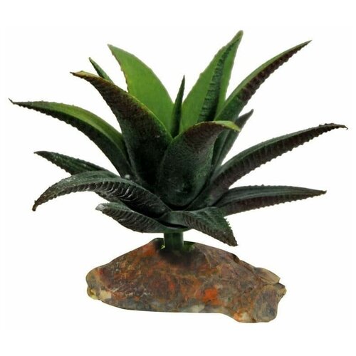 Декоративное растение для террариумов LUCKY REPTILE Succulent, 10см (Германия) декоративное растение для террариумов lucky reptile sumatra grass 20см германия