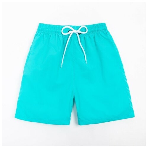 Плавки купальные мужские однотонные MINAKU цвет мятный размер 48 2545₽