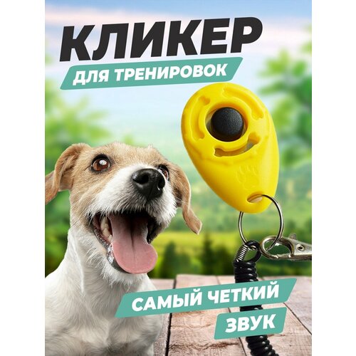 Кликер для дрессировки животных