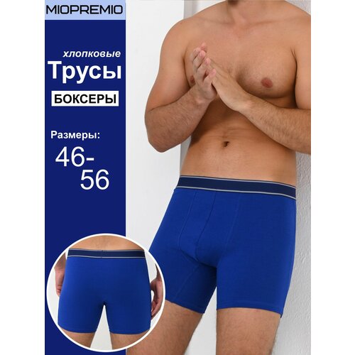 фото Трусы miopremio, размер 5, синий