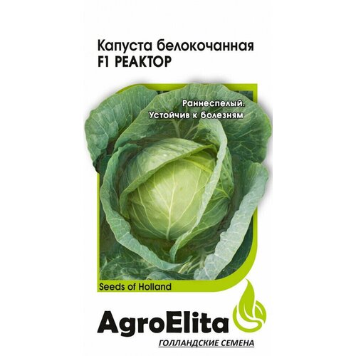 Семена Капуста белокочанная Реактор F1, 10шт, AgroElita семена капуста белокочанная реактор f1 10шт agroelita 3 упаковки