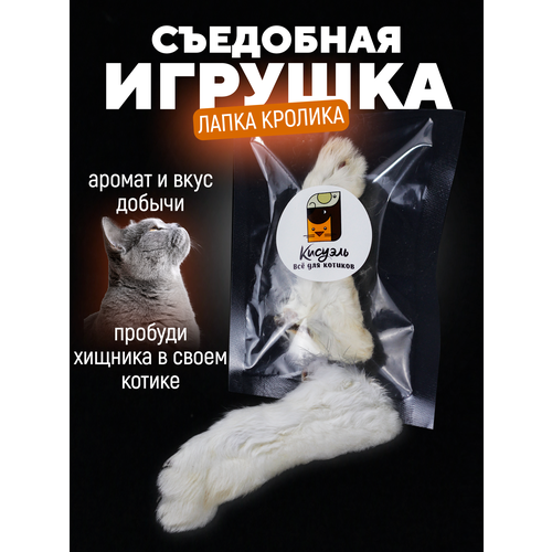 Съедобная игрушка для котят и кошек лапка кролика