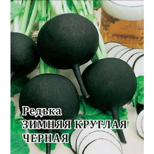 Семена Редька Зимняя круглая чёрная, 100г, Гавриш, Фермерское подворье семена редька зимняя круглая чёрная 100г гавриш фермерское подворье