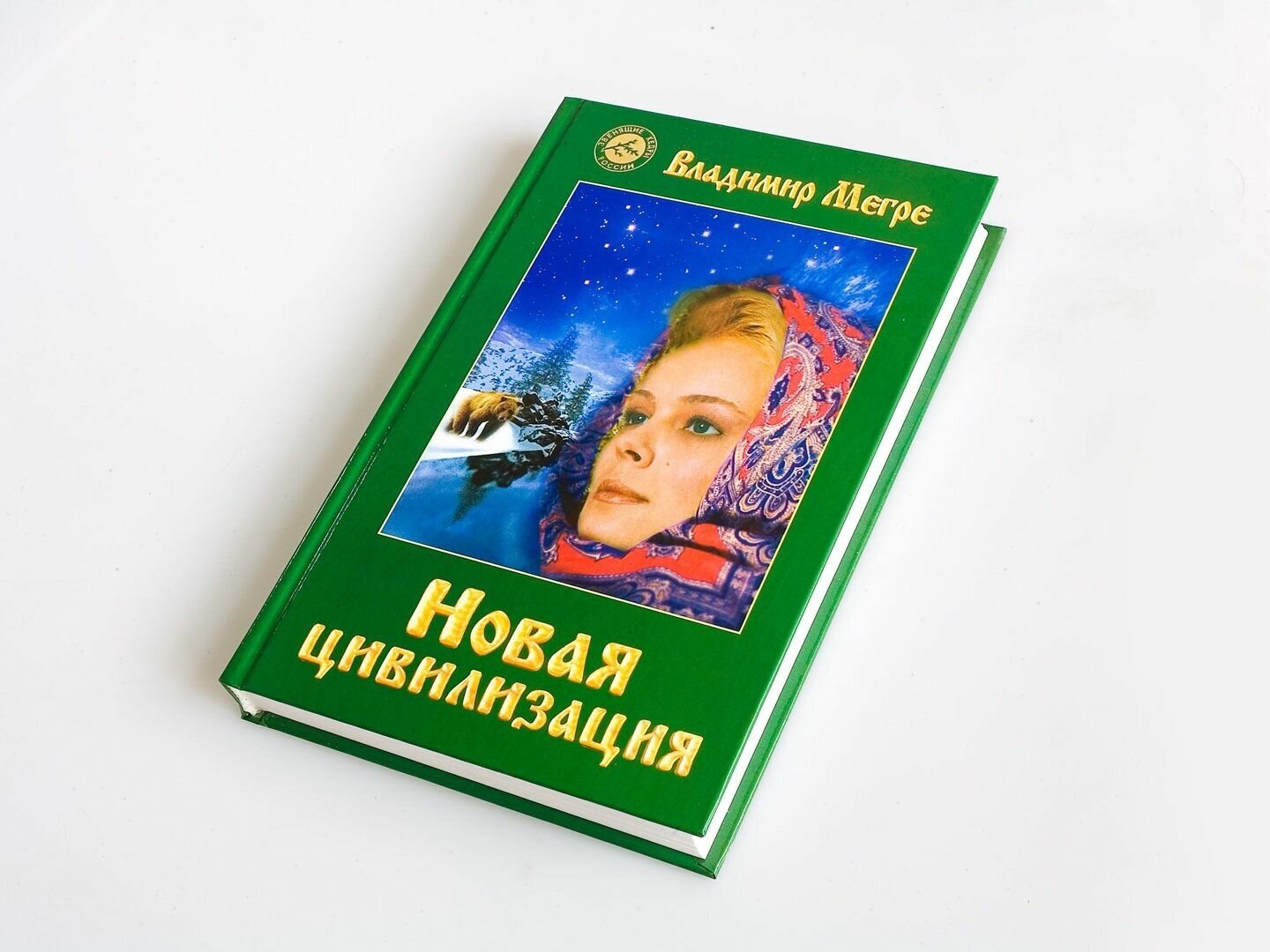 Новая цивилизация. Книга 8. Часть 1 - фото №2