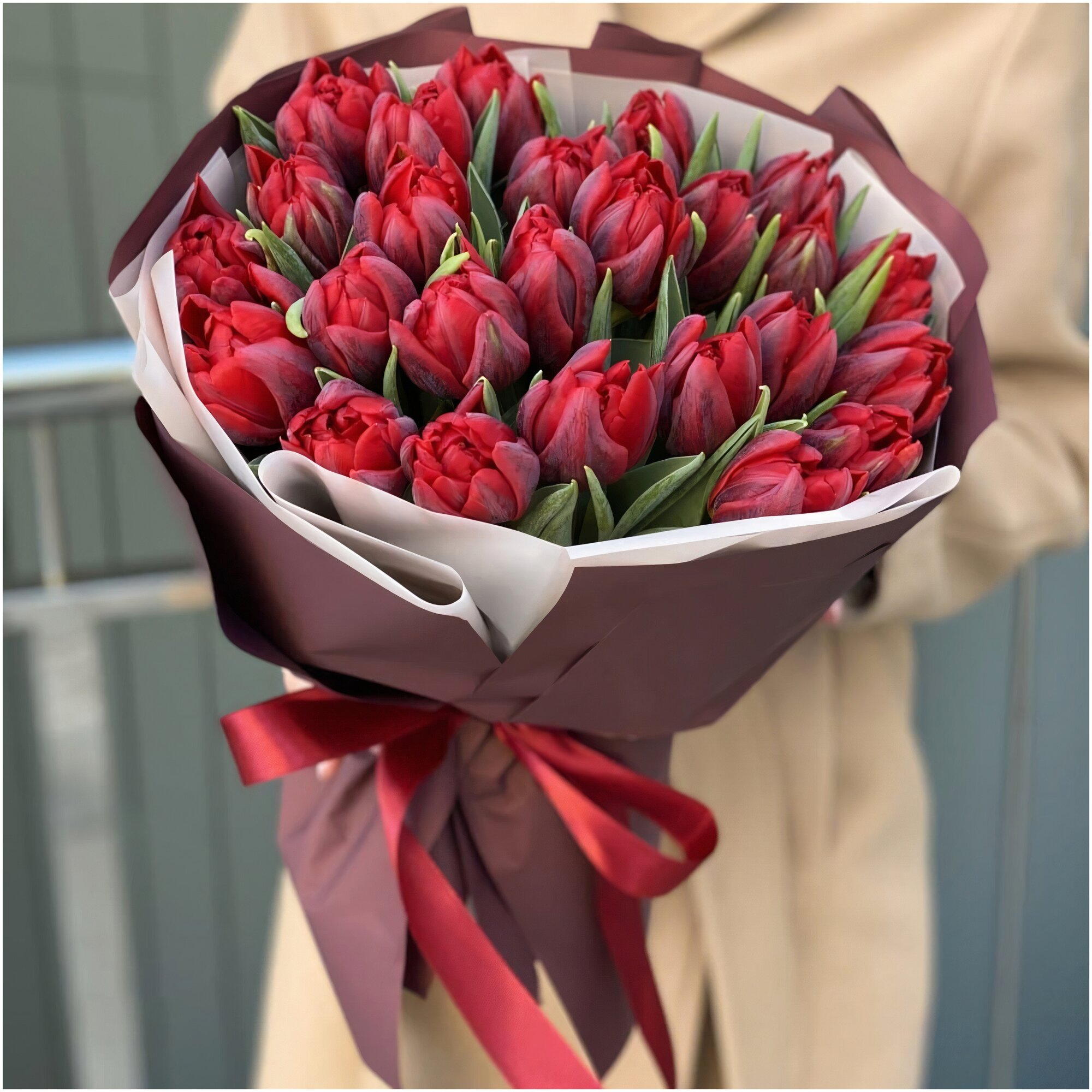 Букет из 25 красных пионовидных тюльпанов (Размер М)