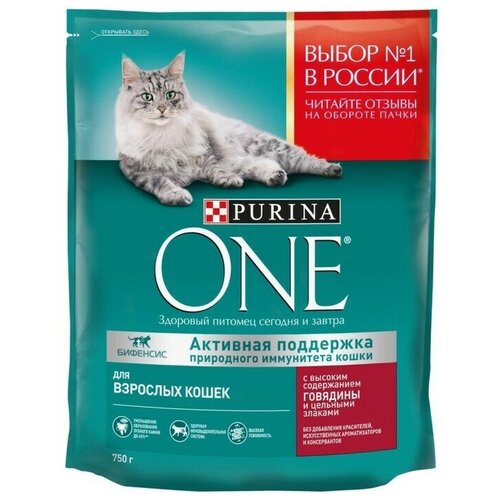 Сухой корм ONE для кошек говядина с цельными злаками 750 г 1300₽