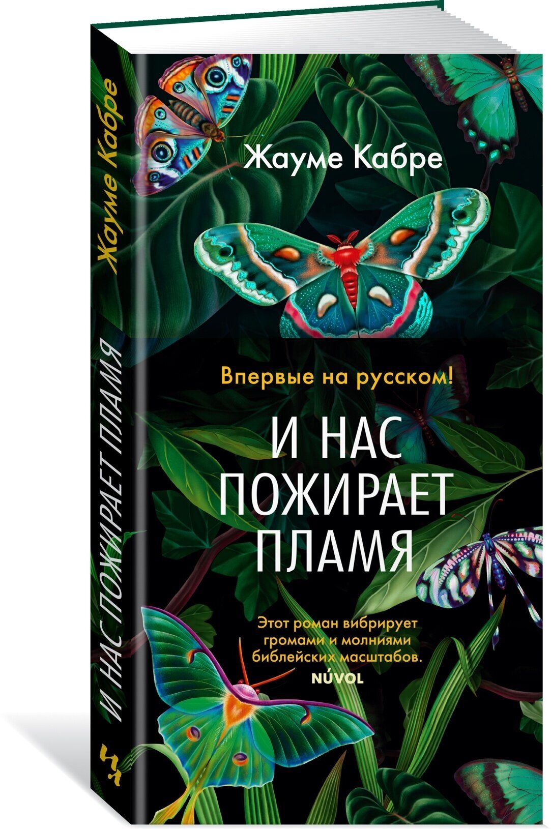 Книга И нас пожирает пламя