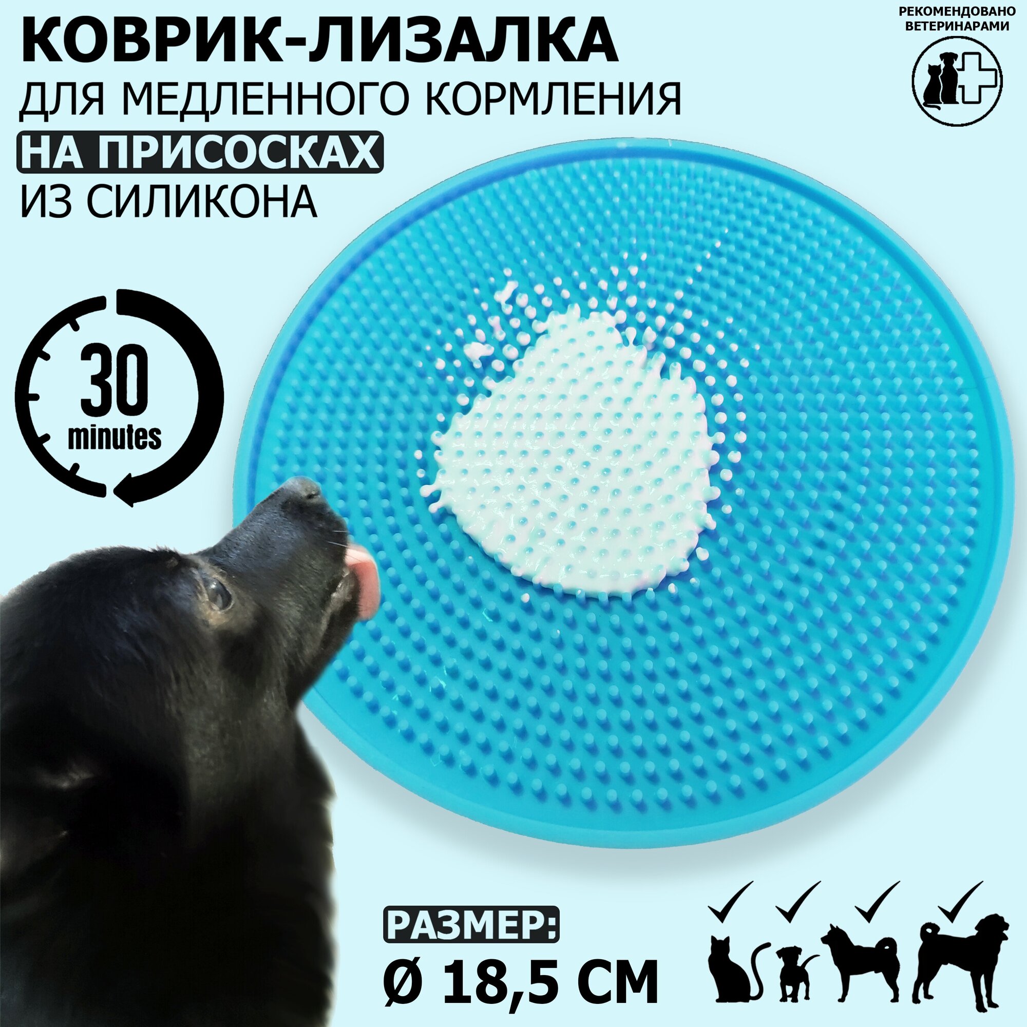 фото 4156Rounded