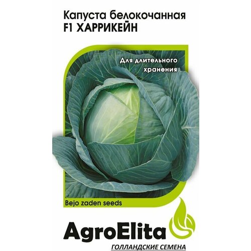 Семена Капуста белокочанная Харрикейн F1, 10шт, AgroElita, Bejo