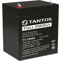 Аккумулятор 12В 4.5 А/ч Tantos TS 12045
