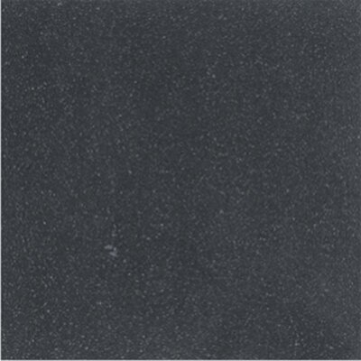 Керамогранит Шахтинская плитка Техногрес 01 30х30 см Черный 10405000063 ф4283 (1.26 м2)