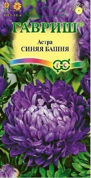 Семена Астра Башня Синяя пионовидная 03г Одн 70см (Гавриш)